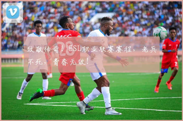致敬传奇!ESL职业联赛赛程,老兵不死,青春无敌!