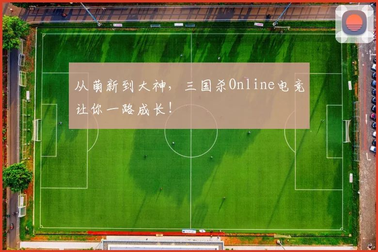 从萌新到大神,三国杀Online电竞让你一路成长!