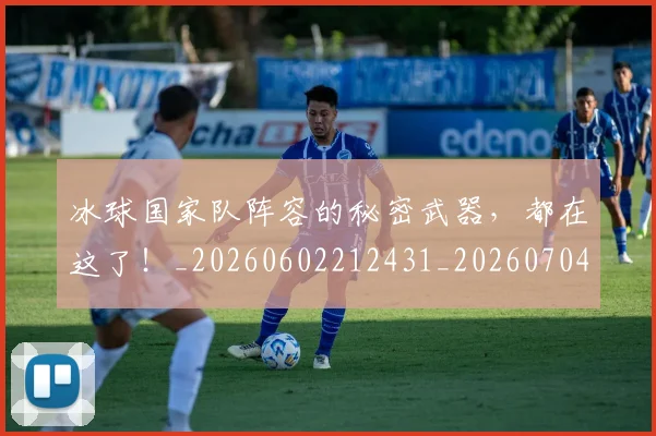 冰球国家队阵容的秘密武器,都在这了!_20260602212431_20260704172956