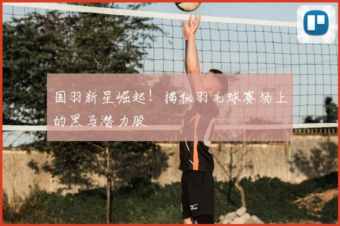 国羽新星崛起!揭秘羽毛球赛场上的黑马潜力股