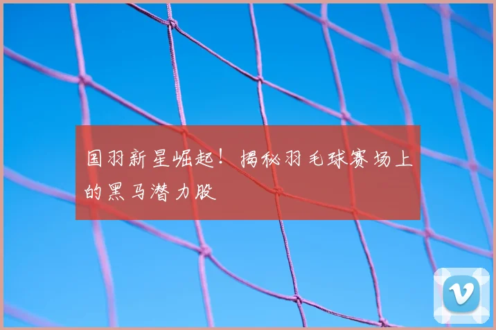 国羽新星崛起!揭秘羽毛球赛场上的黑马潜力股