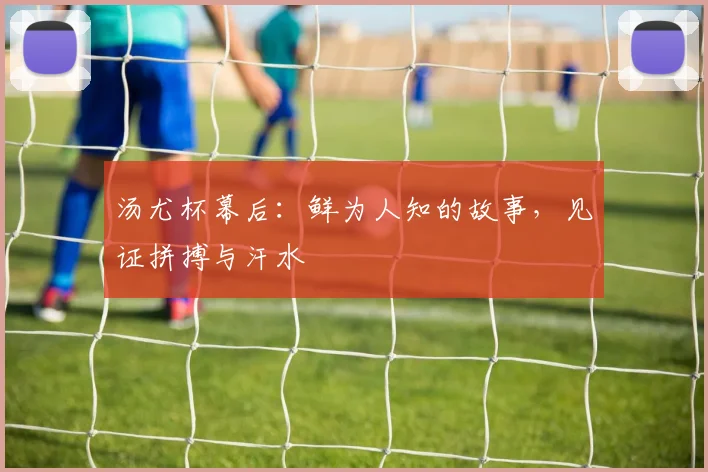 汤尤杯幕后:鲜为人知的故事,见证拼搏与汗水
