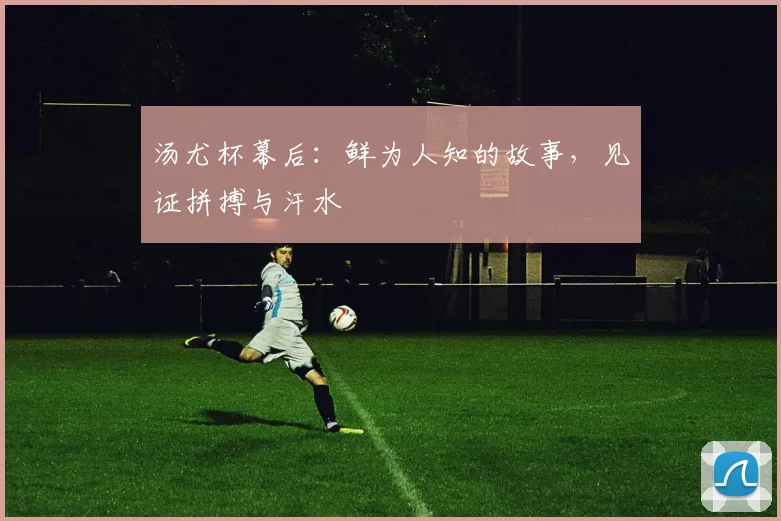 汤尤杯幕后:鲜为人知的故事,见证拼搏与汗水