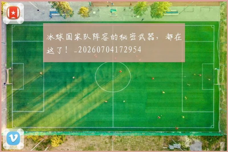 冰球国家队阵容的秘密武器，都在这了！_20260704172954